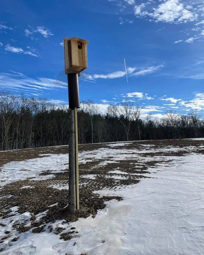 Snow and owl boxes at Laurel Grove Wine Farm