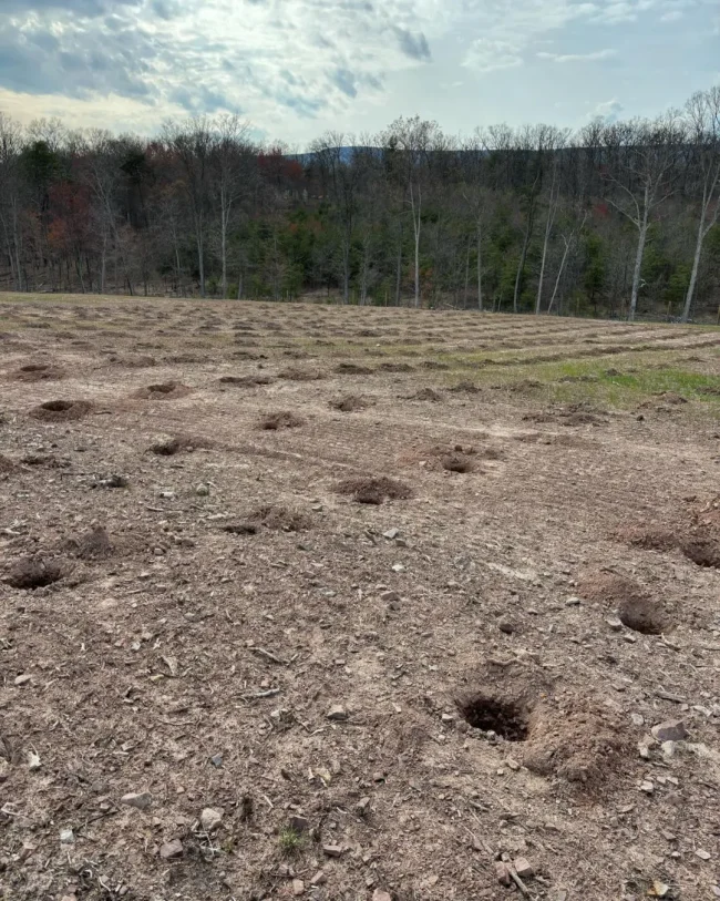 Best regenerative farms in the Shenandoah Valley, Laurel Grove Wine Farm