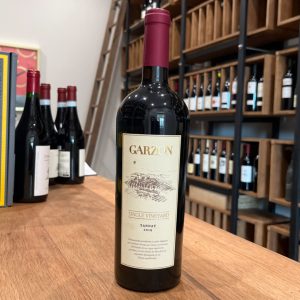 Bodega Garzon Single Vineyard Tannat 2019